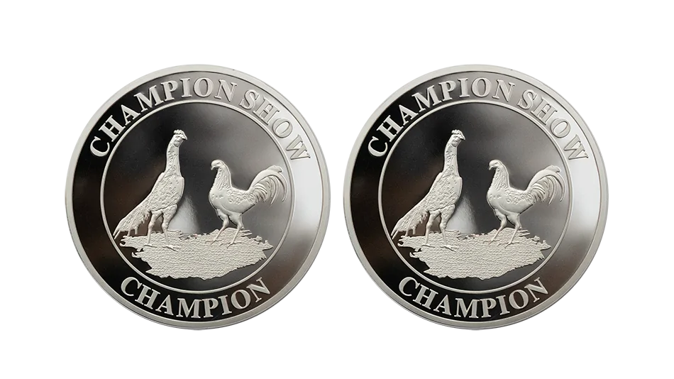 Custom silver commemorative coin